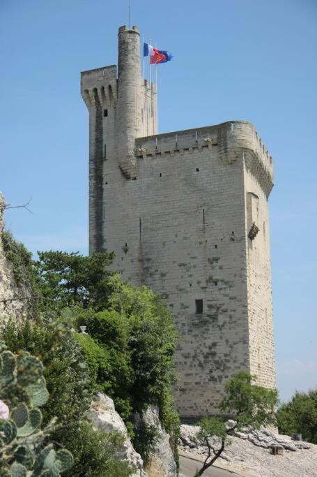 La Cigale - Vieux Village - Charmante Maisonnette Climatisee Avec Jardin Villeneuve-lès-Avignon Exterior foto