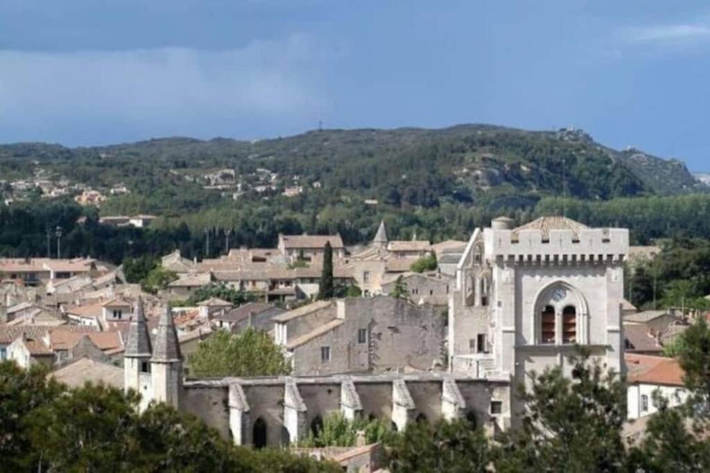 La Cigale - Vieux Village - Charmante Maisonnette Climatisee Avec Jardin Villeneuve-lès-Avignon Exterior foto